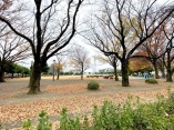 公園・運動施設