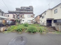 2026年6月撮影