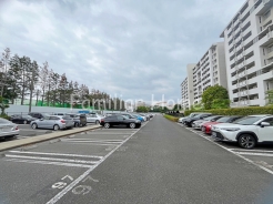 2026年5月撮影