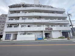 2026年6月撮影