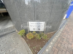 2026年7月撮影