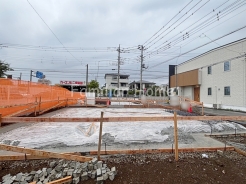 2026年7月撮影
