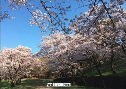 お客様写真 Vol.75