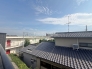 2026年7月撮影