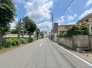 2026年6月撮影