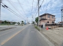2026年6月撮影