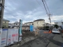 2026年6月撮影