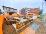2026年9月撮影