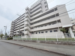 2026年7月撮影